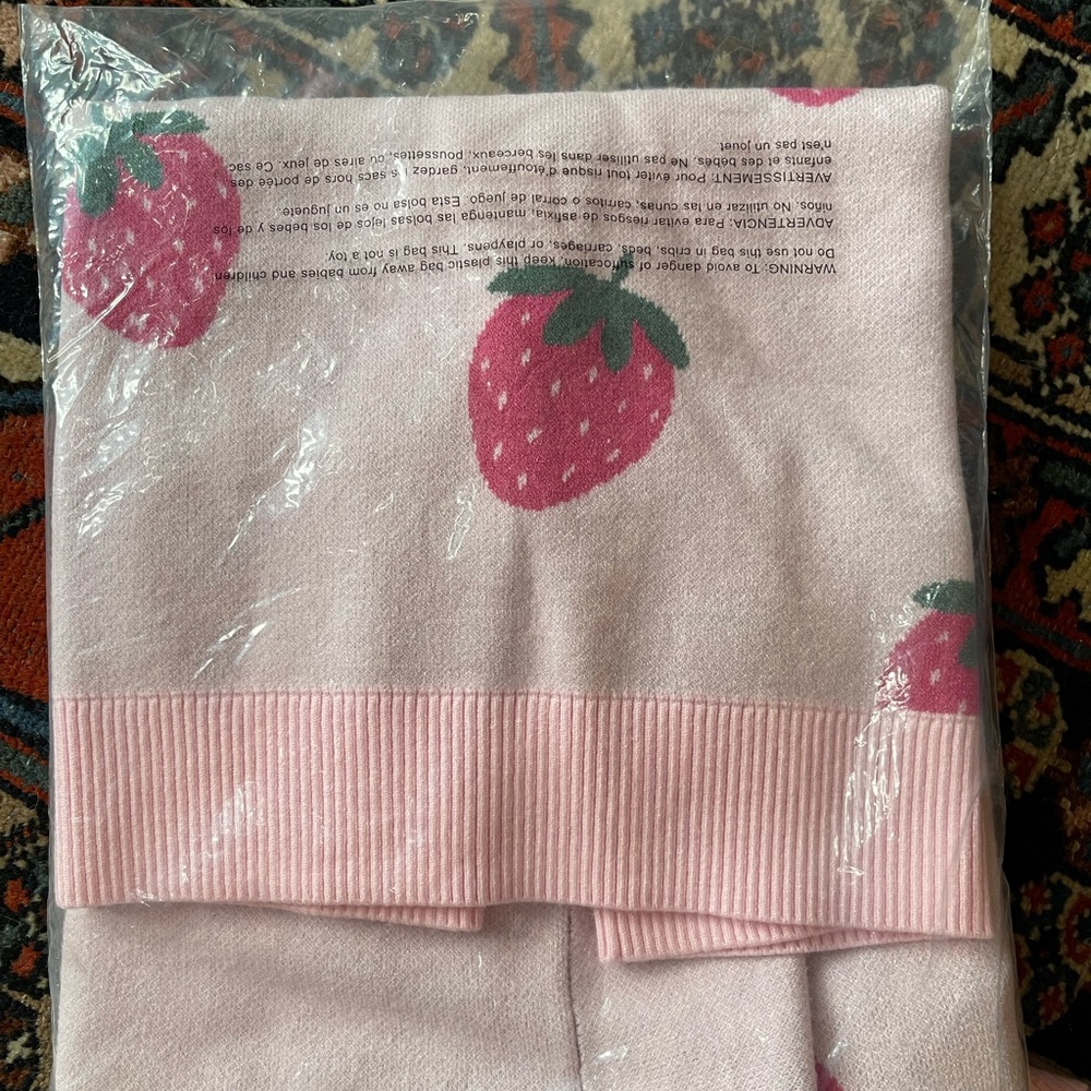 Beach Riot NWT Sz M Joey Sweet strawberries oversized sweater; so cute! - Picture 5 of 16